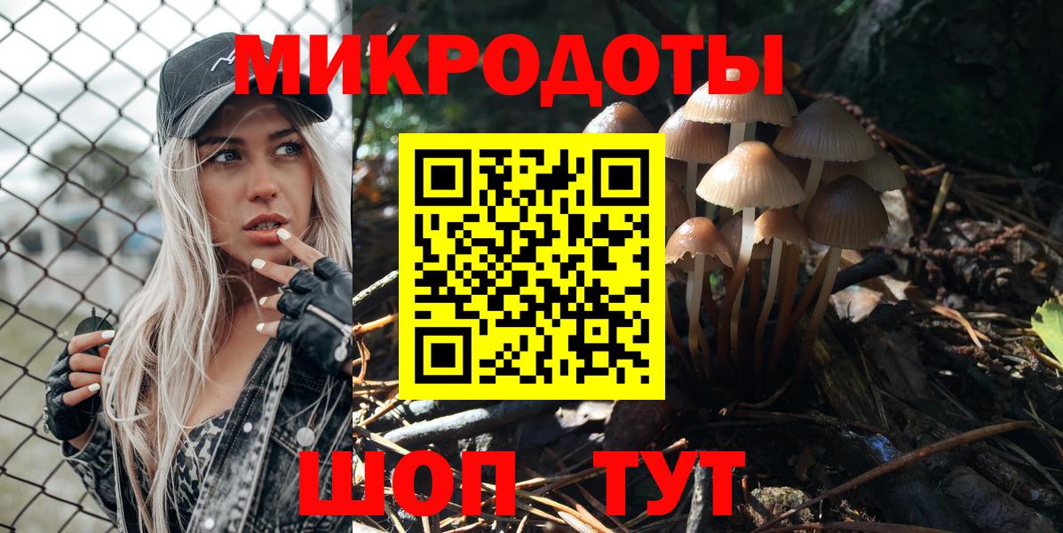 Псилоцибиновые грибы Psilocybine cubensis  дарнет шоп  Баксан  Вход с VPN  Галлюциногенные грибы MAGIC MUSHROOMS 
